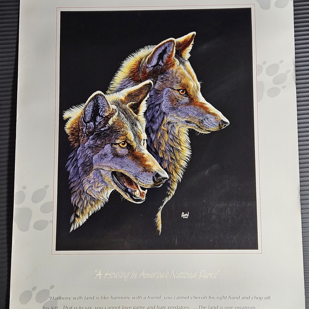 AL AGNEW,  1986 Print: A Howling in America's National Parks, 26x20, Cond: Good